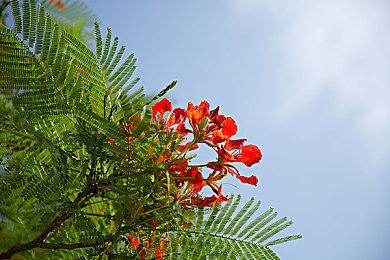 《无人深空》第十三次远征活动“漂泊”现已正式上线